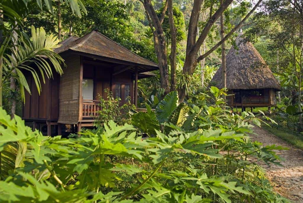 The Barefoot at Havelock