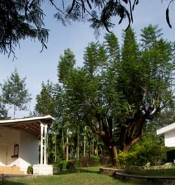 10 Homestays in Kutta, Coorg: Book Now & Get Upto 50% Off