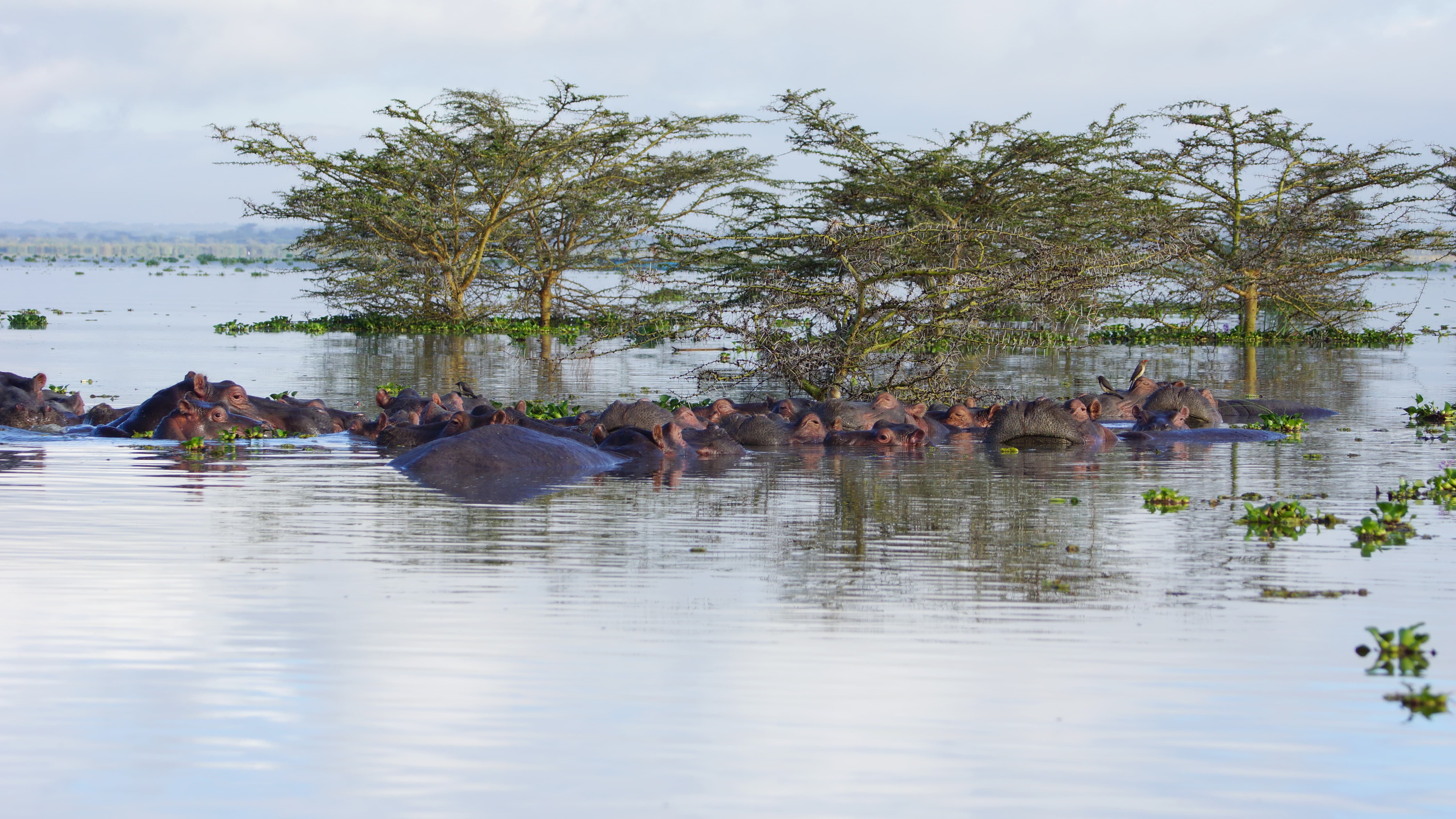 1620315325 shutterstock 543512989