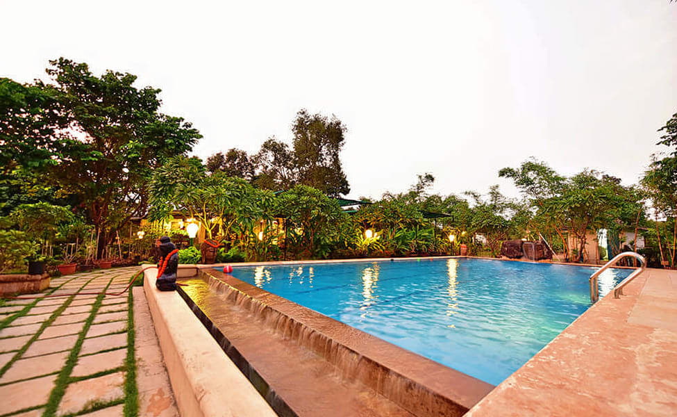 Tooth Mountain Farms