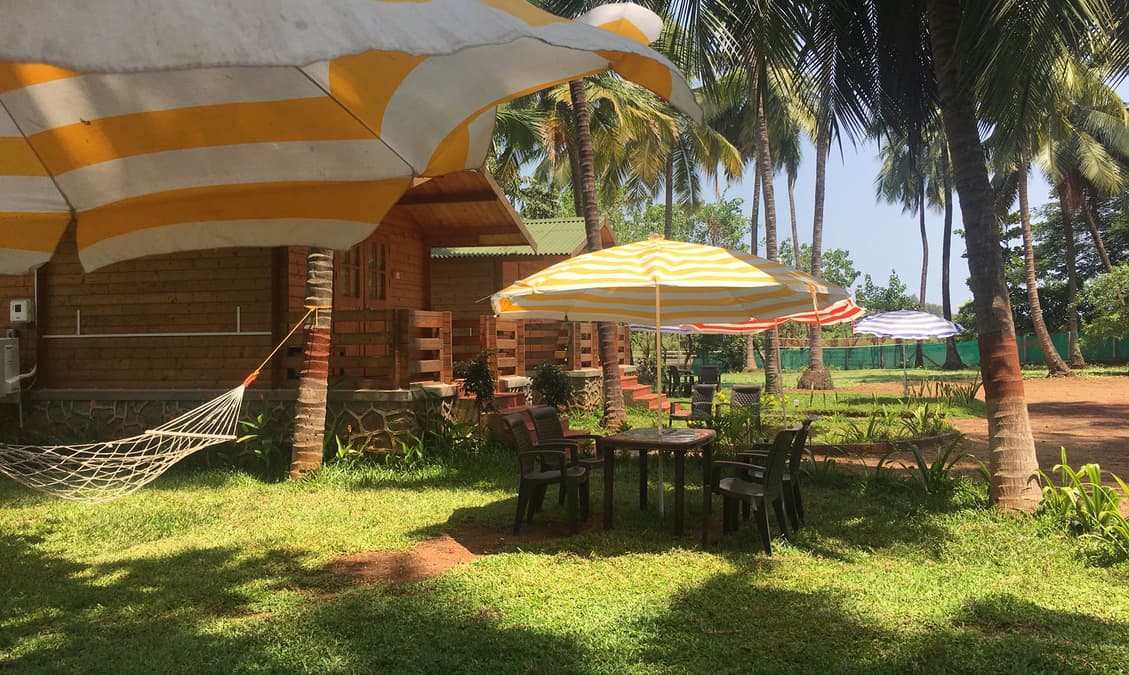 10 Pet Friendly Resorts in Alibaug, Book Now and Get 50 Off