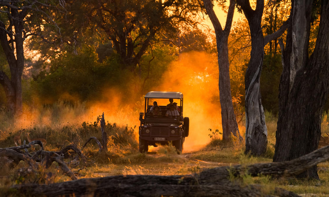 15 Wildlife Sanctuaries in Africa Wildlife Parks in Africa