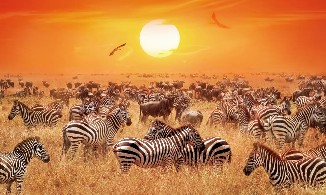 15 Wildlife Sanctuaries in Africa Wildlife Parks in Africa