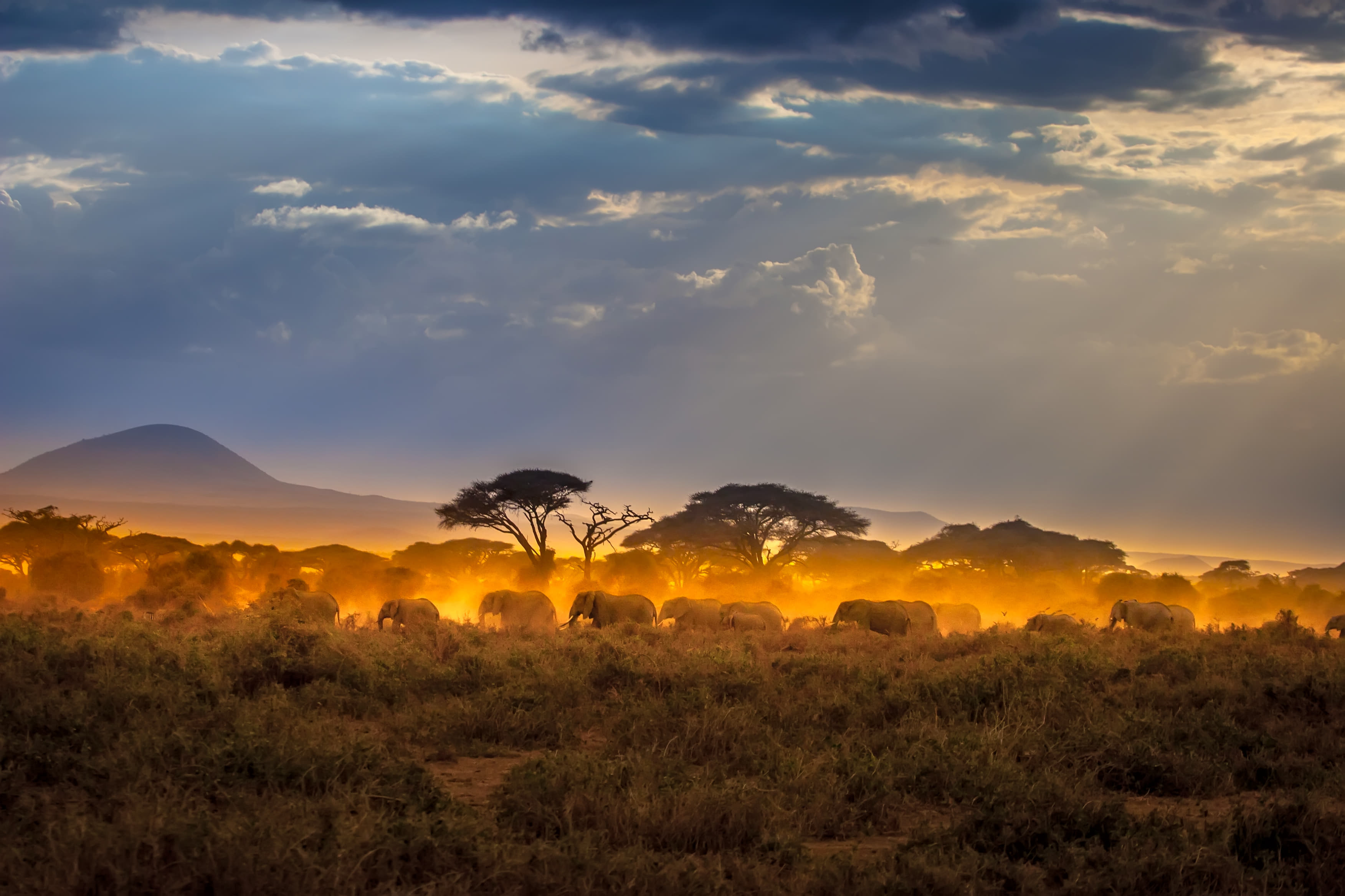 15 Wildlife Sanctuaries in Africa | Wildlife Parks in Africa