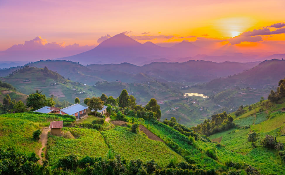 50 Places to Visit in Uganda Tourist Places Top Attractions