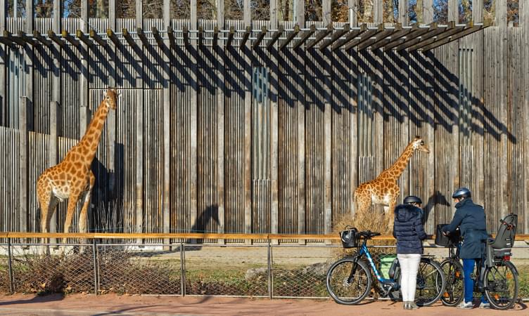 Zoo De Lyon