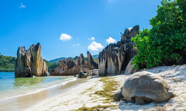 50 Places To Visit In Seychelles, Tourist Places & Top Attractions