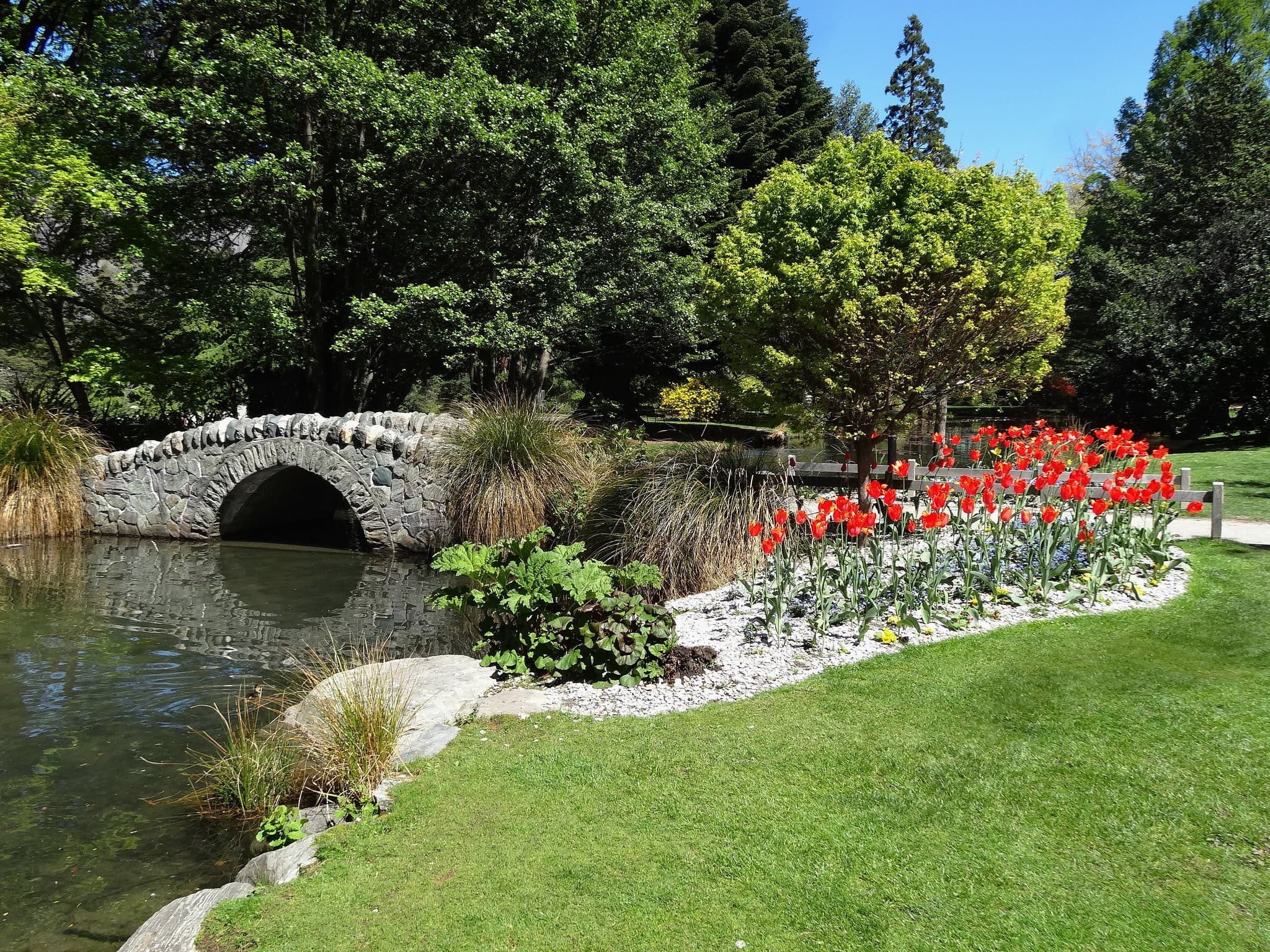 Take A Stroll In Queenstown Gardens