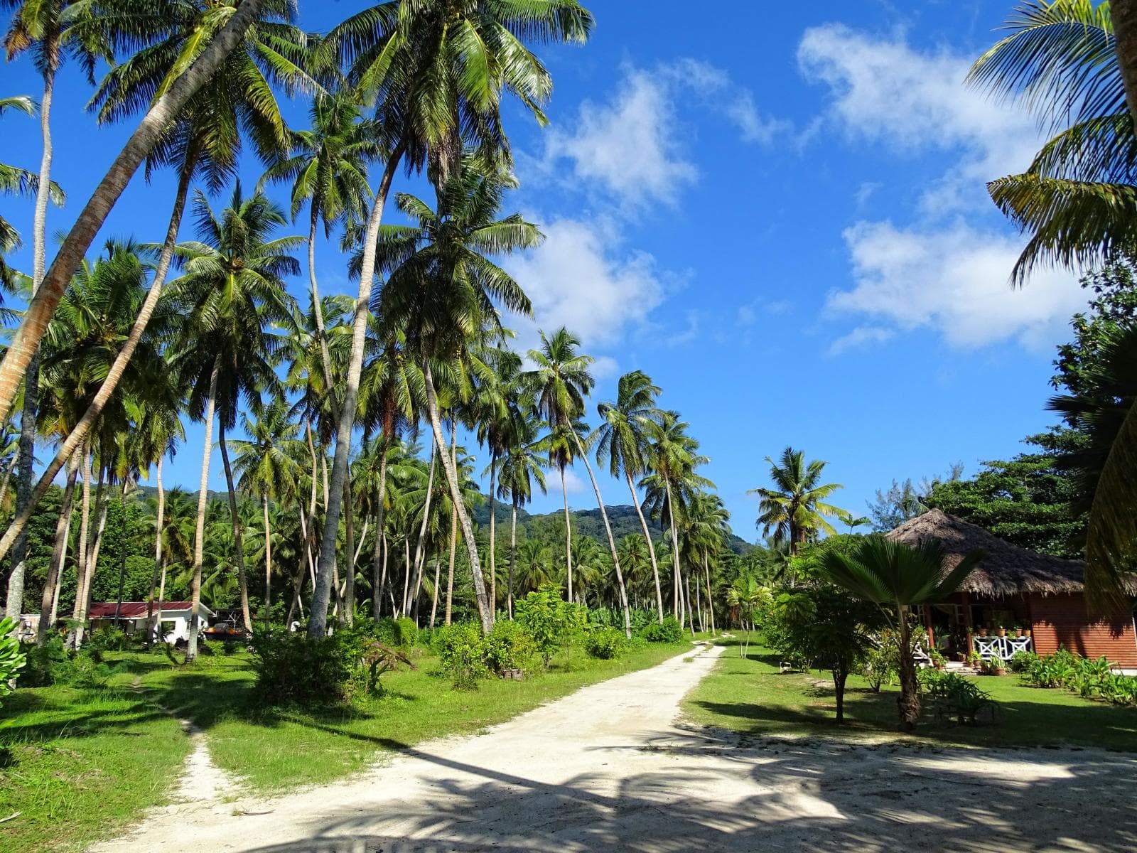 Go to La Digue’s Coconut Plantation