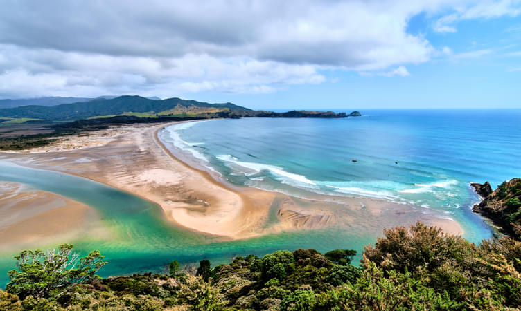 The Great Barrier Island