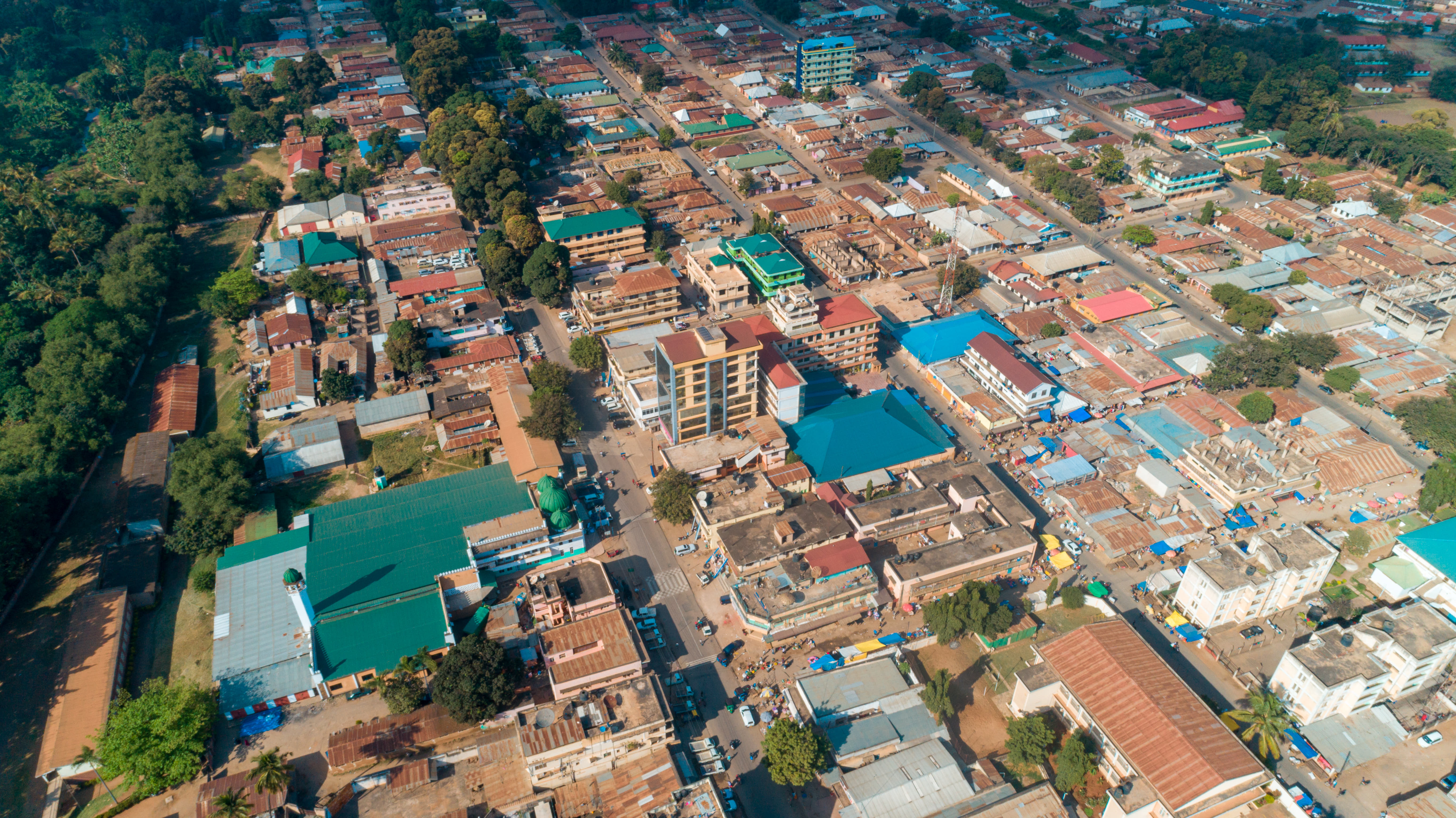 1615632078 shutterstock 1584169111