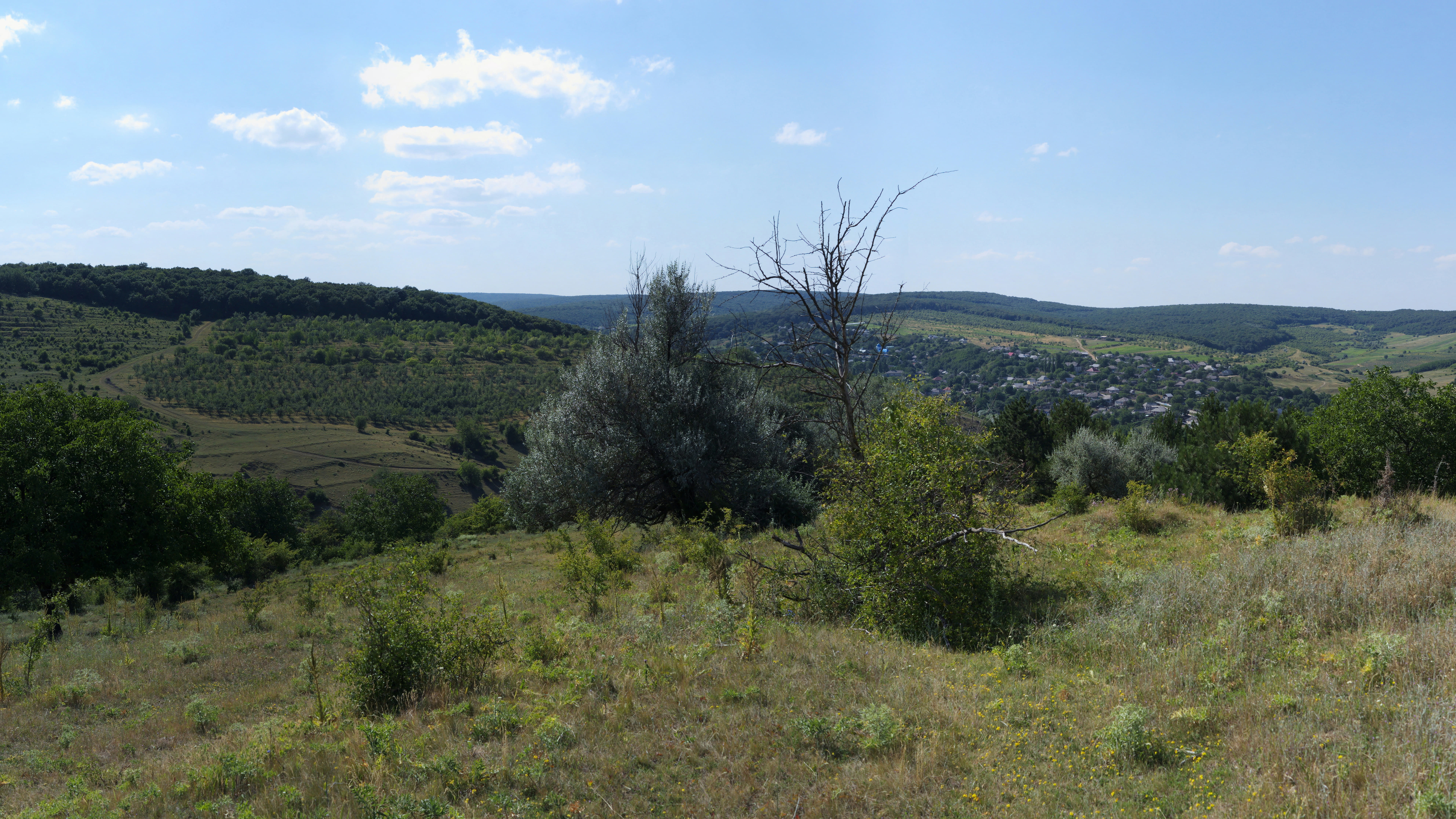 1615632715 shutterstock 1860767839