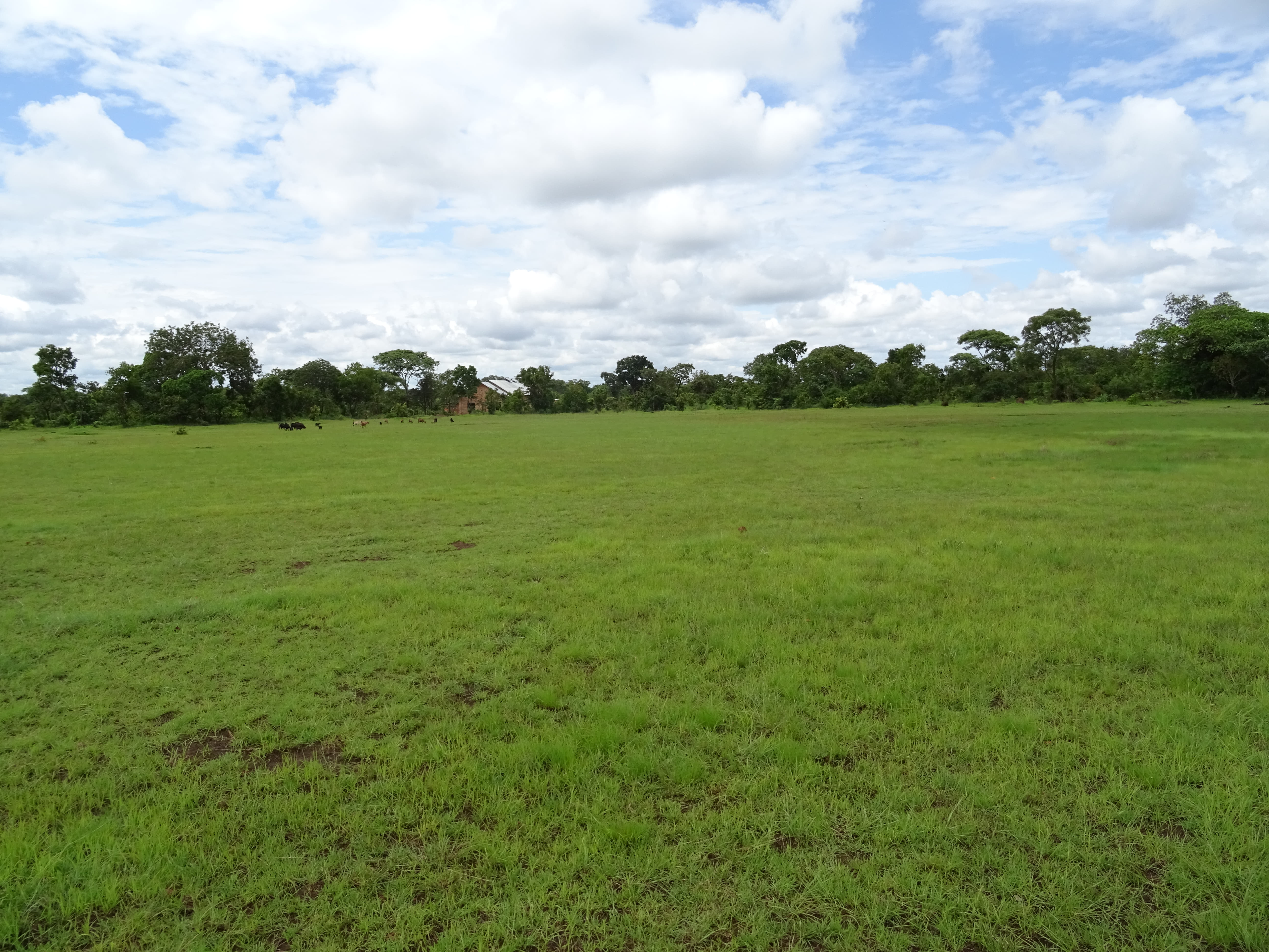 1615633188 shutterstock 1391013245