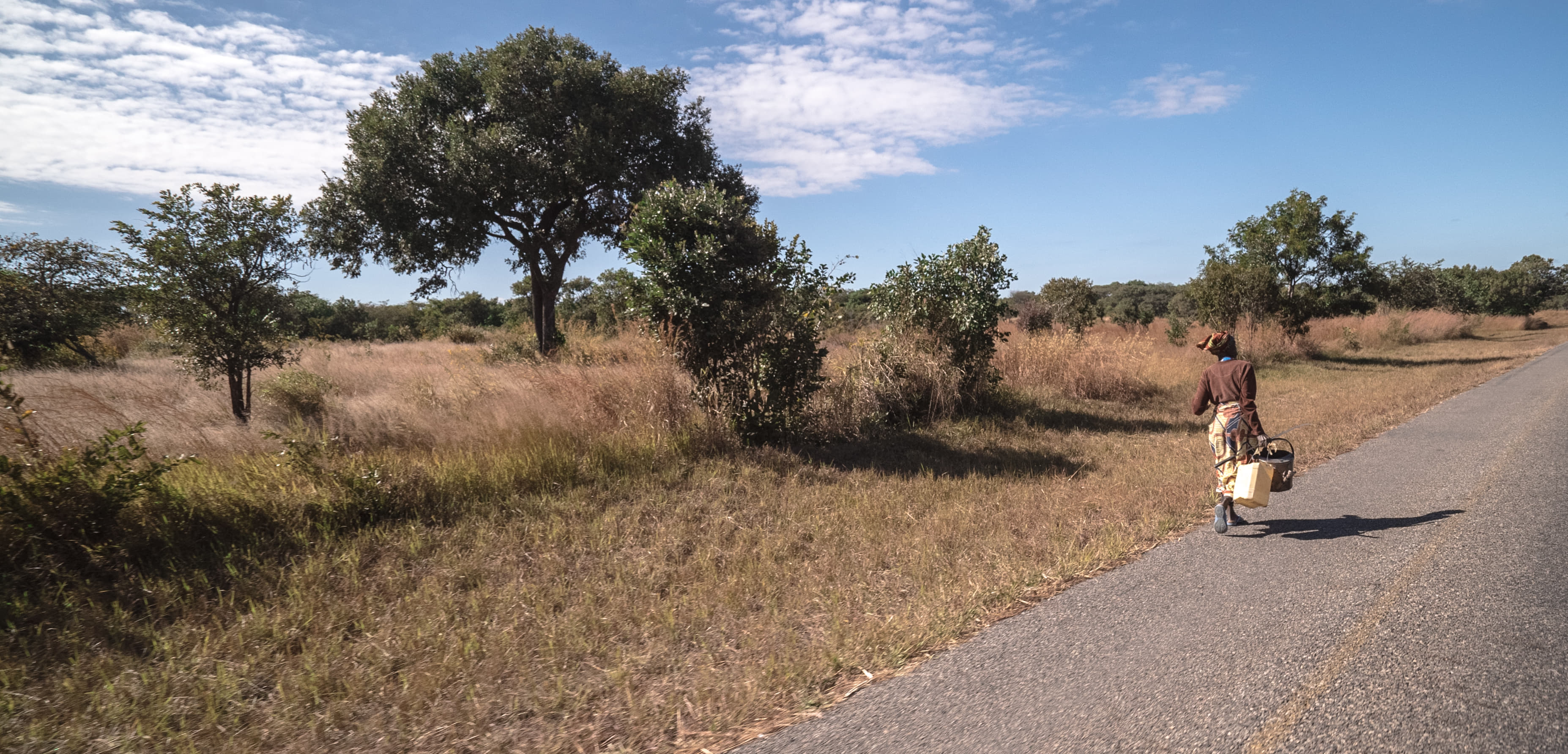 1615795484 shutterstock 576977092