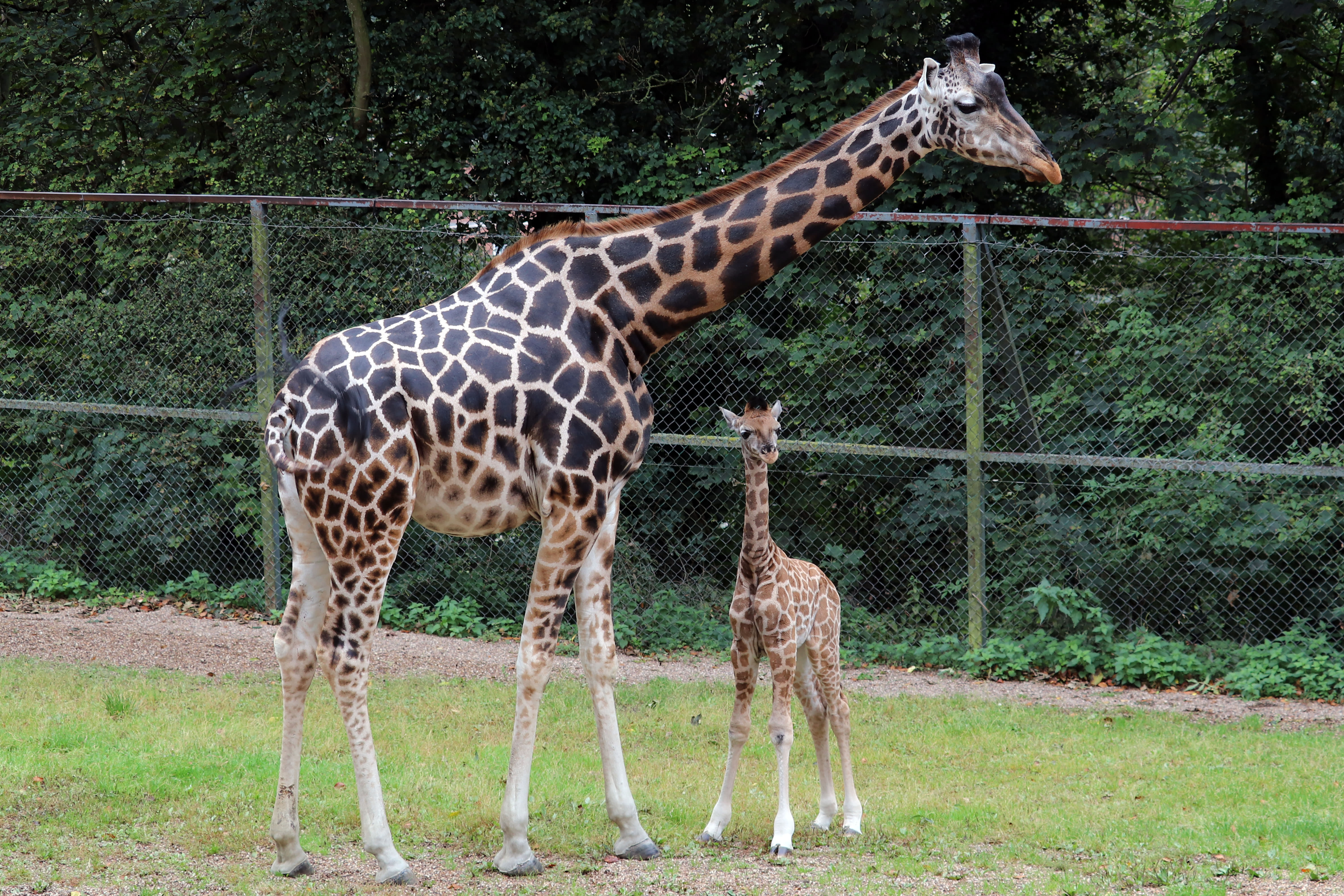 1615796306 shutterstock 1584639541