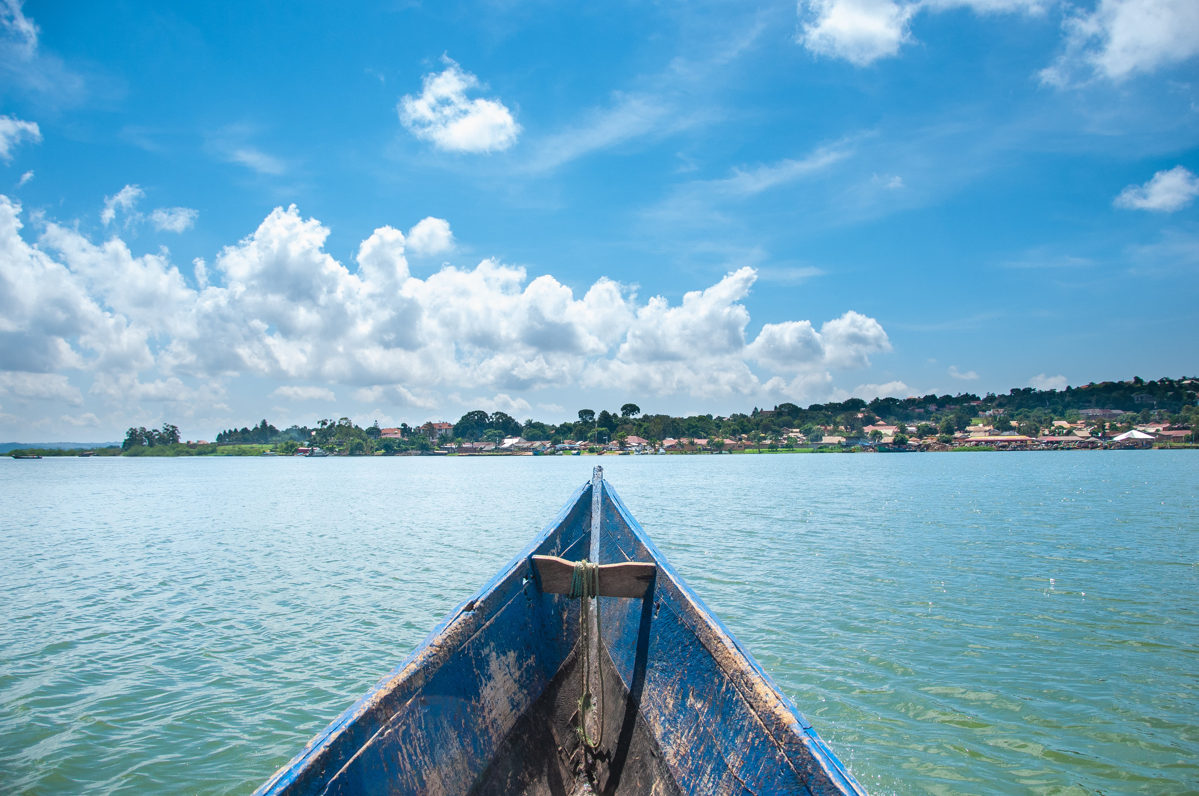 1615796348 shutterstock 1519435880