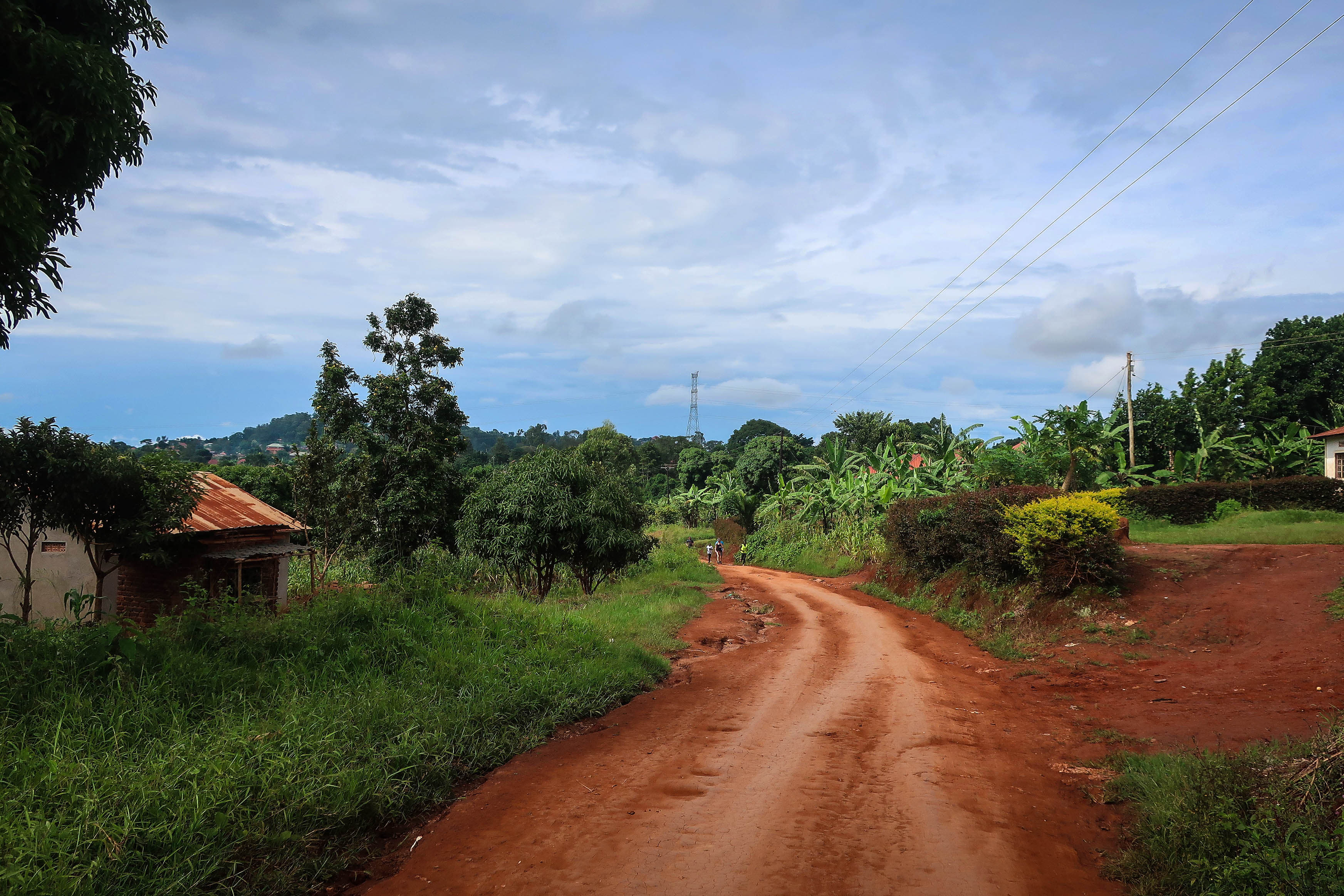 1615802489 shutterstock 1512892406