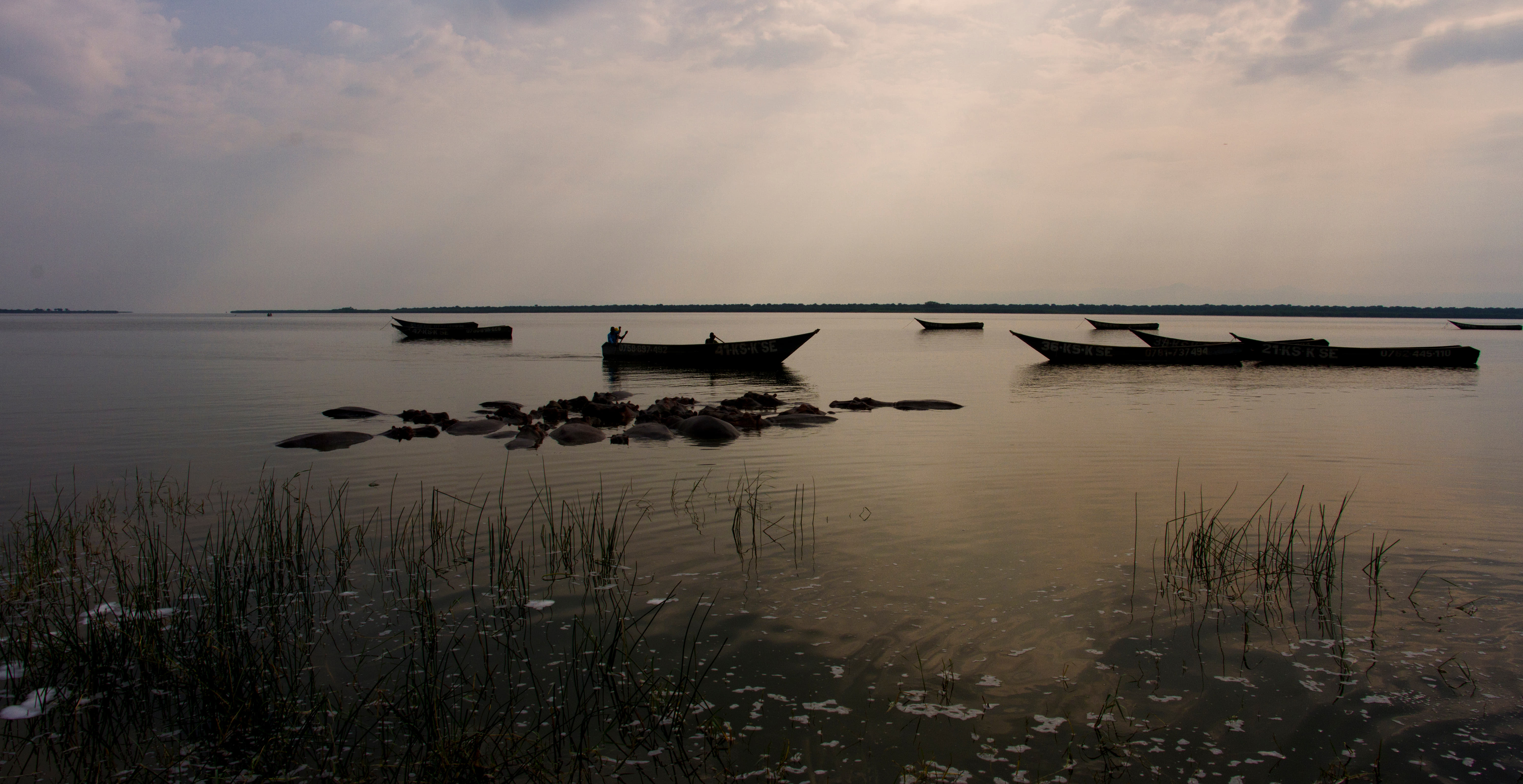 1615802642 shutterstock 1714565539