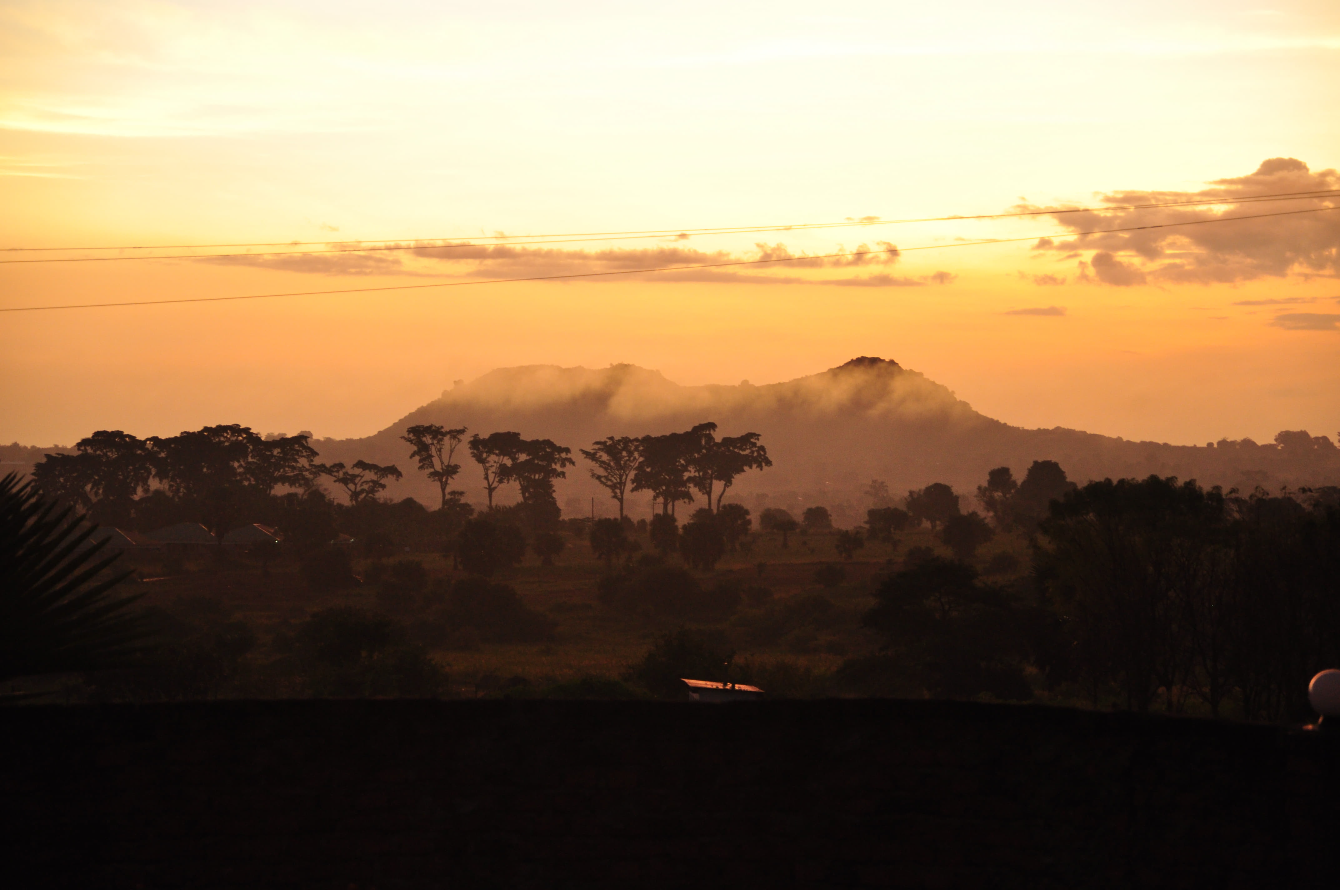 1615803231 shutterstock 1337926304