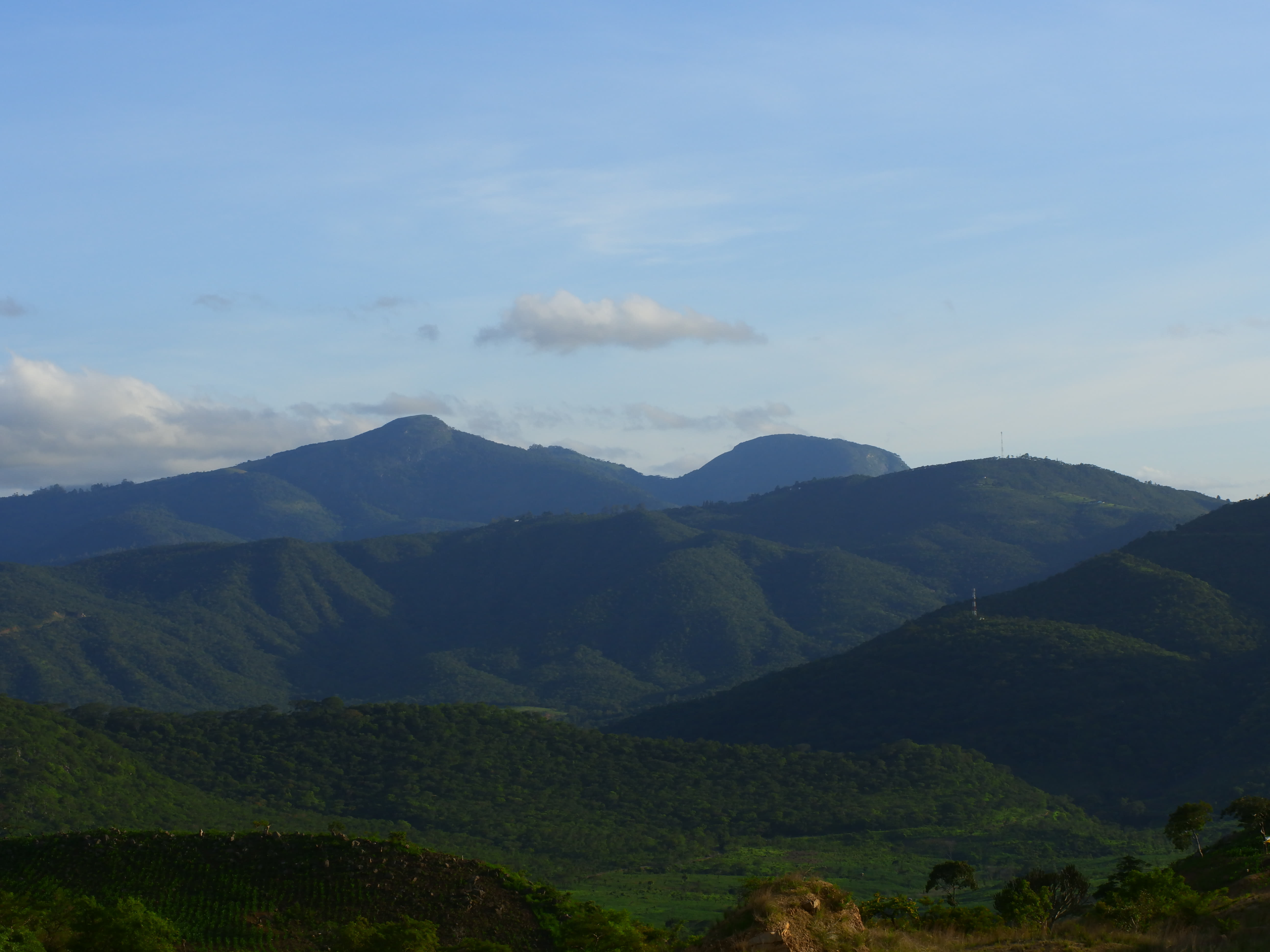 1615804430 shutterstock 1393850207