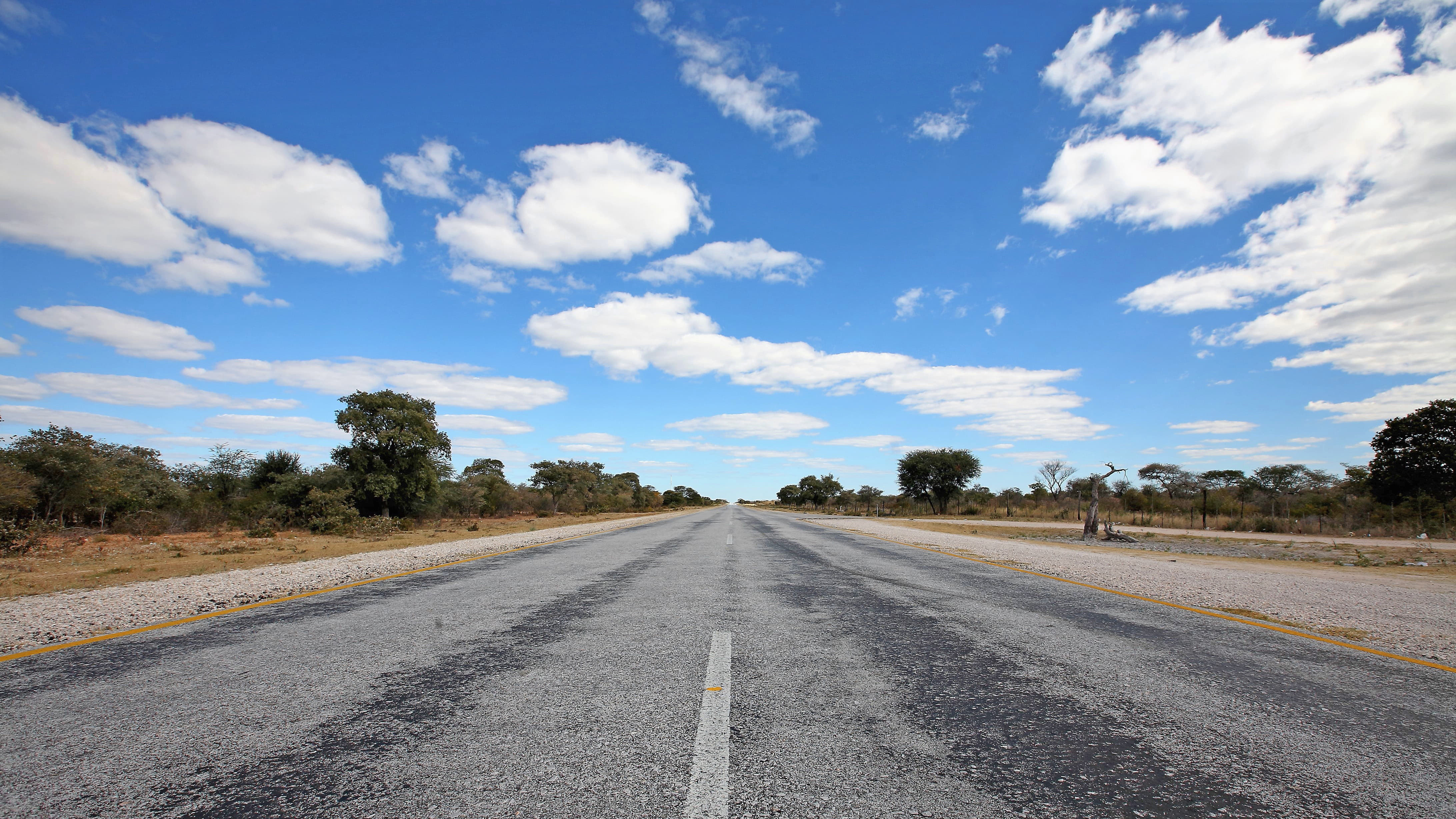 1615806388 shutterstock 787354552