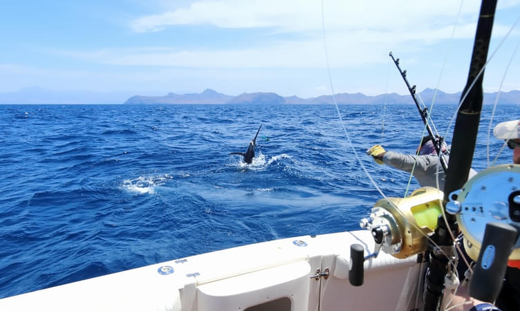 Go Fishing in Central Fiji