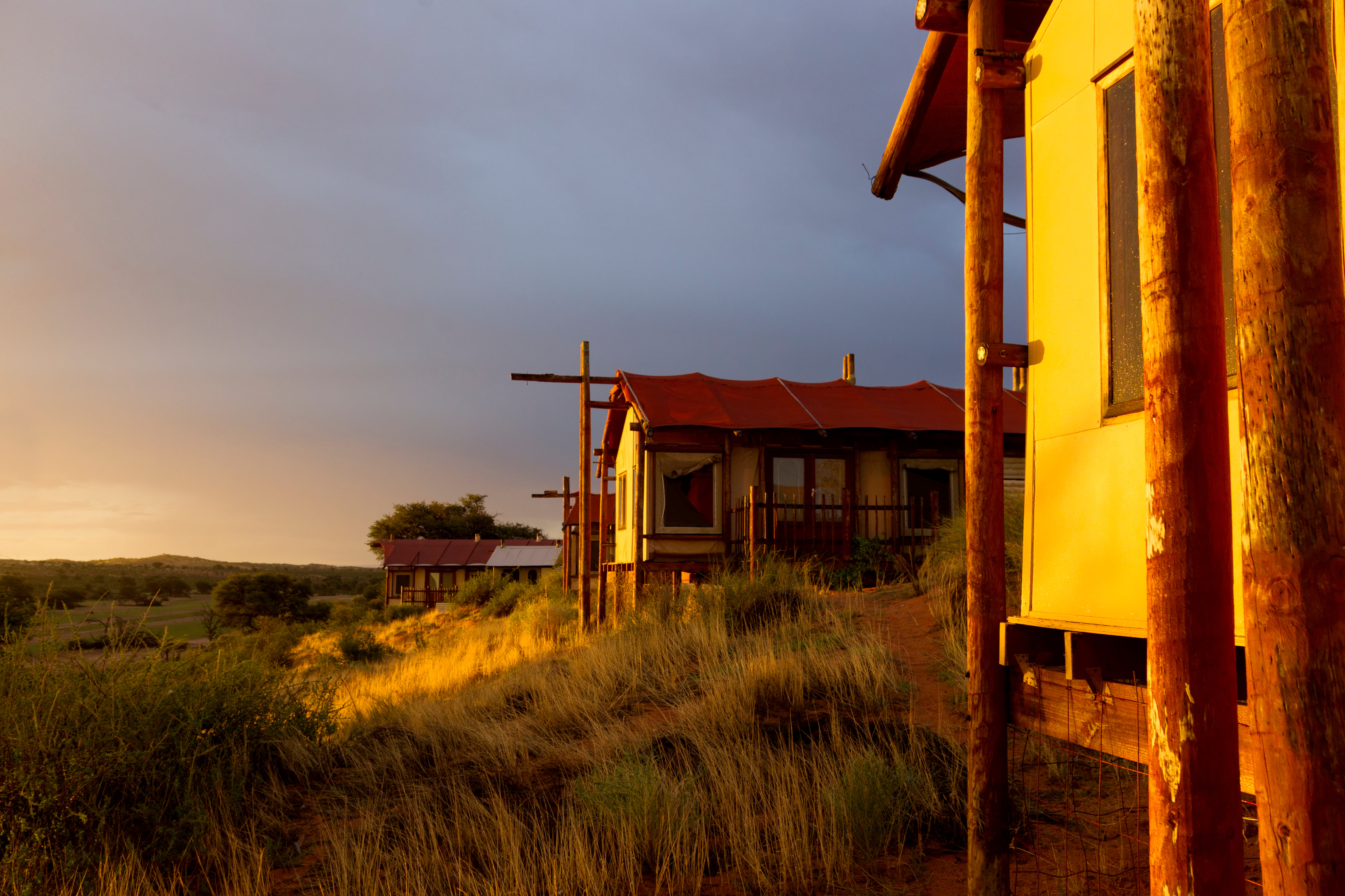 Luxury Camping in Africa: Book Now & Get UPTO 25% Off  
