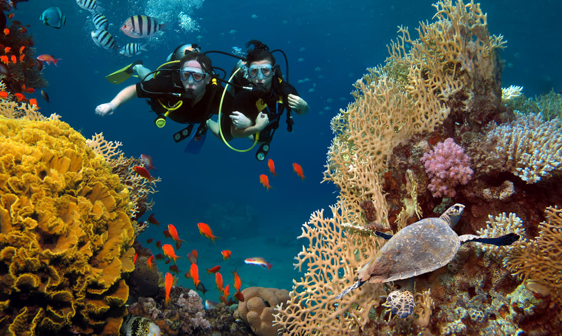 35 Things to Do in Israel | What to Do in Israel in 2026