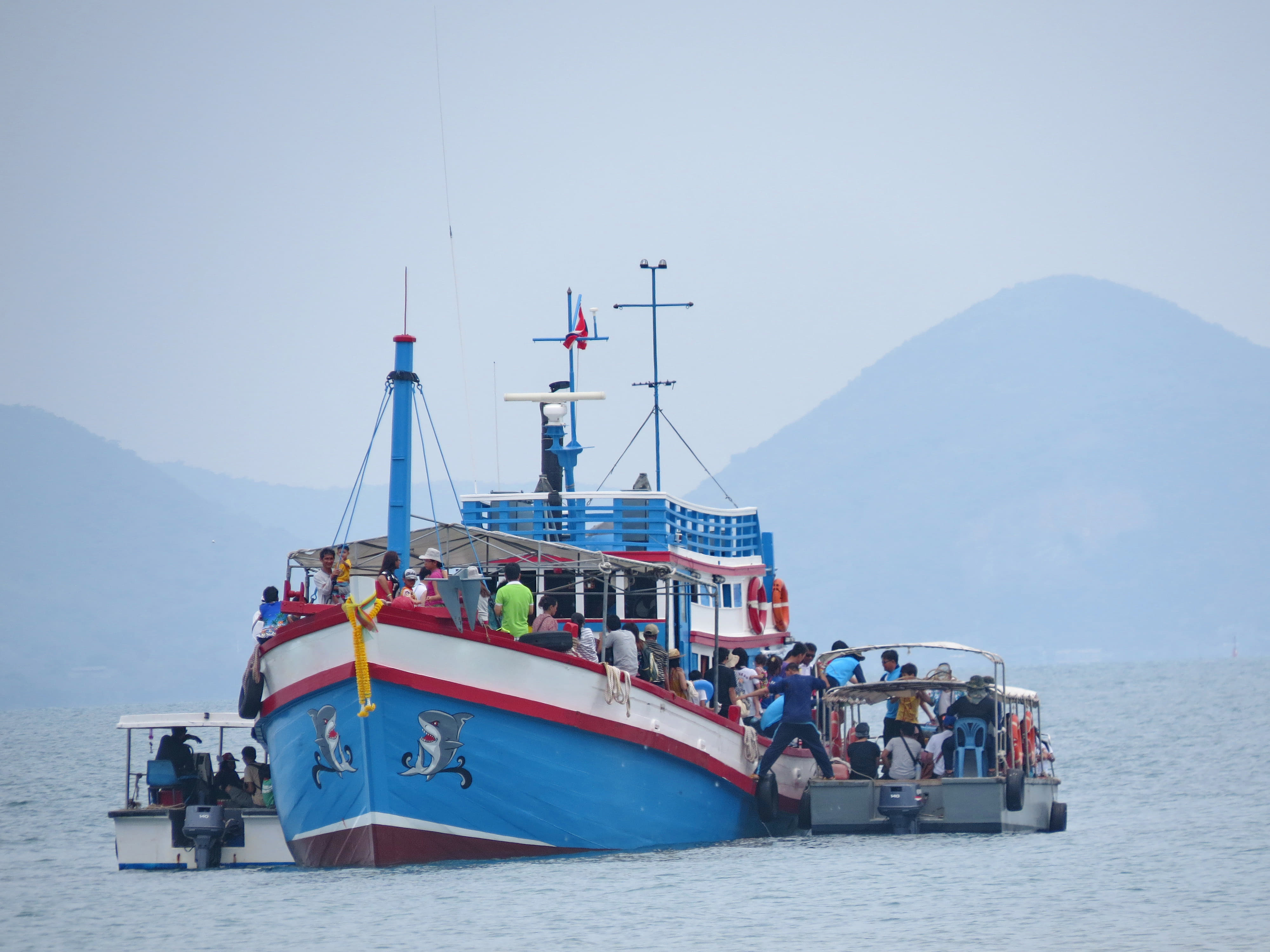 Take a Glass Bottom Boat Tour