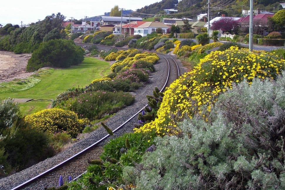 Go to Perry-Ling Gardens