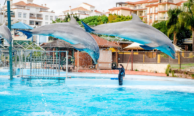 Selwo Marina Dolphin Park
