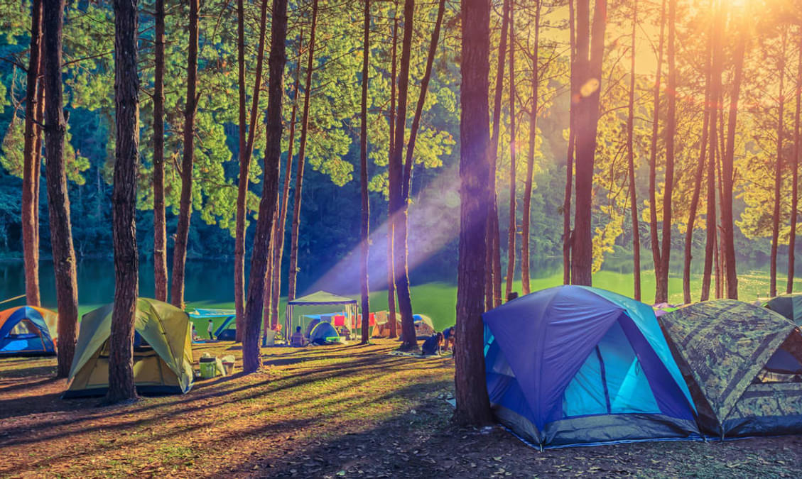 Camping in Chikmagalur : Book Top Selling Camps ₹1350