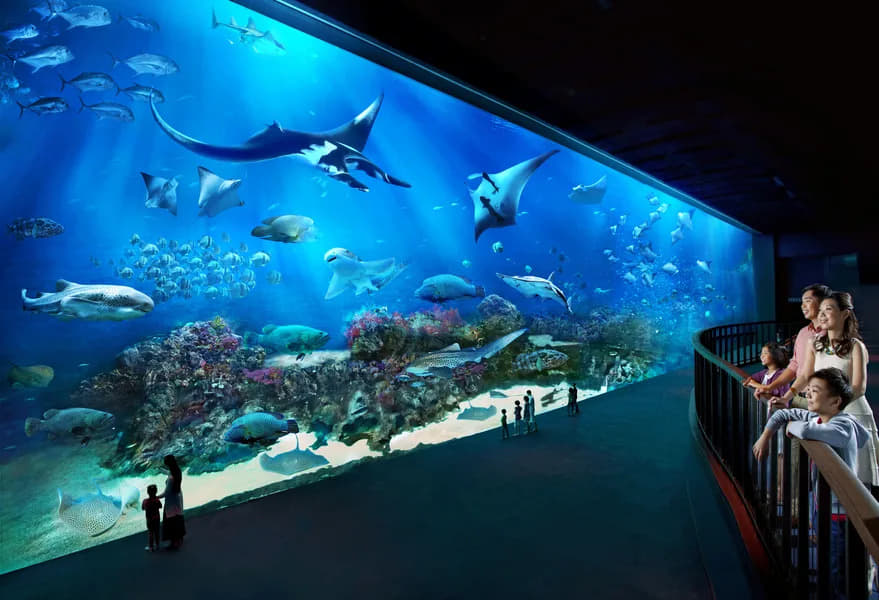 S.E.A. Aquarium