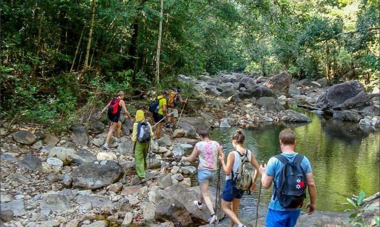 Hike Through the Jungle to Klong Jark Waterfall