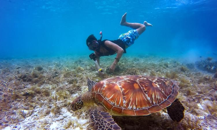Snorkelling