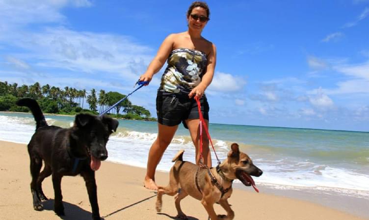 Visit Lanta Animal Welfare
