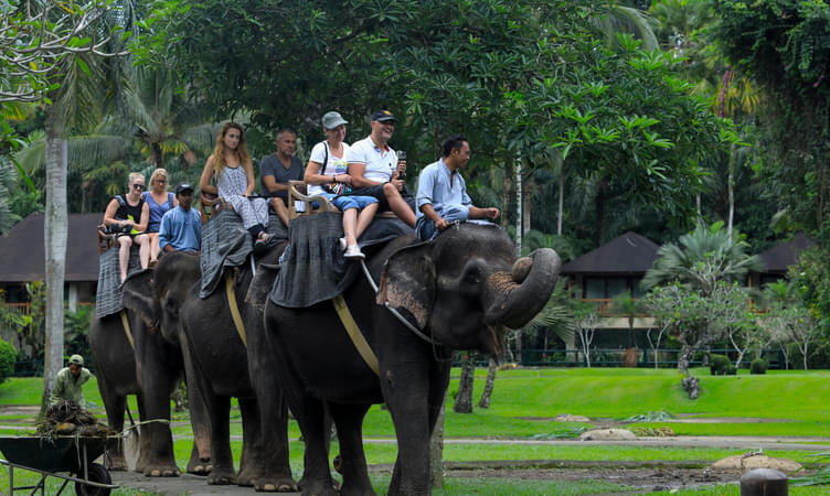 Explore the Bali Safari & Marine Park
