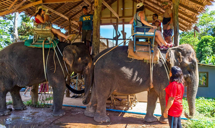 Play with Elephants at the Krabi Elephant Sanctuary