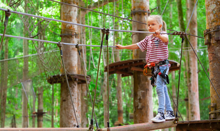 Have Some Fun at Bali Treetop Adventure Park