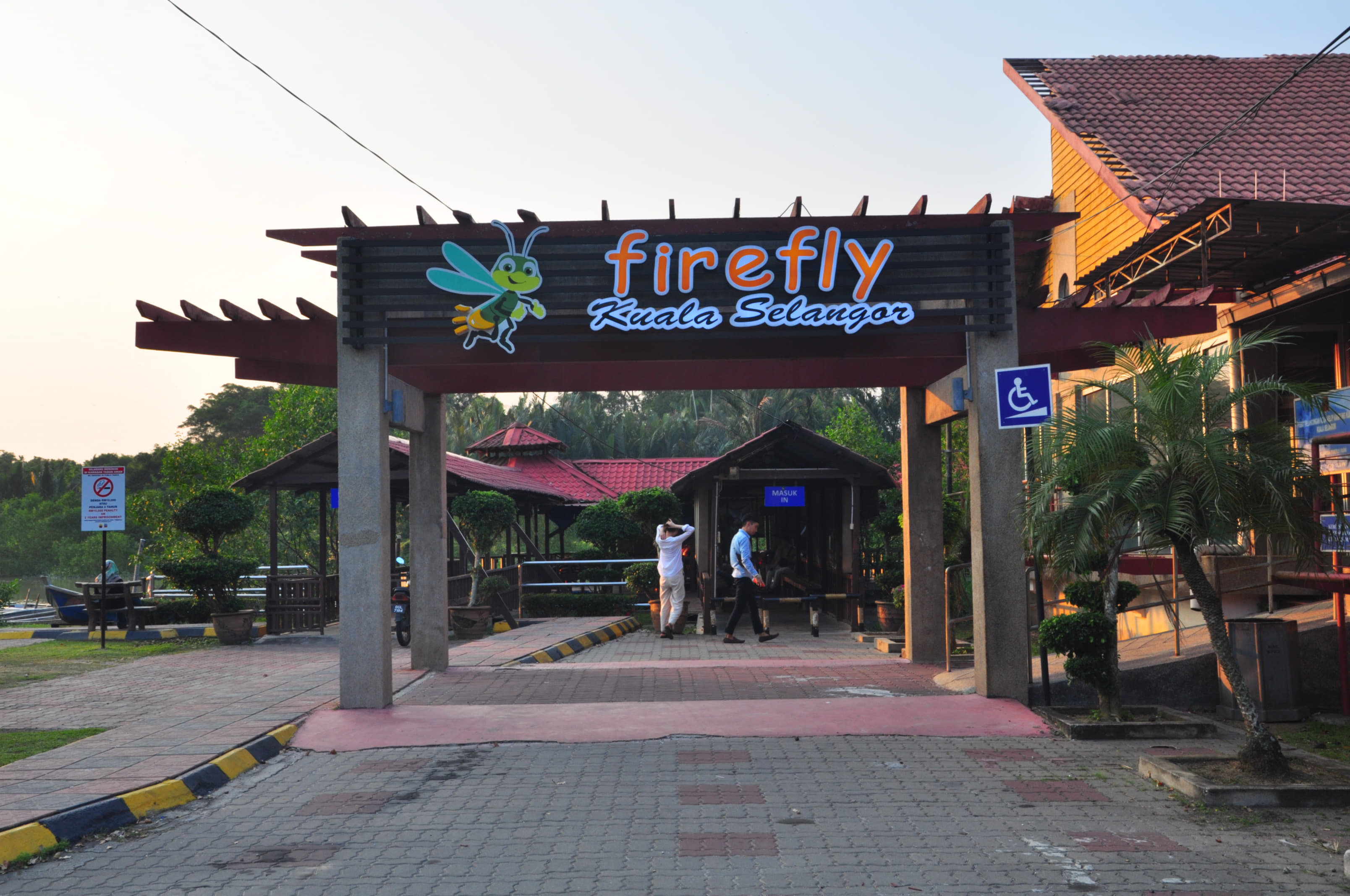 Fireflies At Kuala Selangor