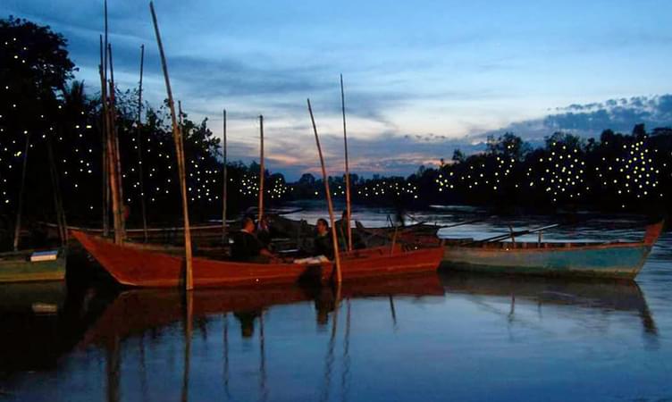Fireflies Night Boat Ride on Selangor River