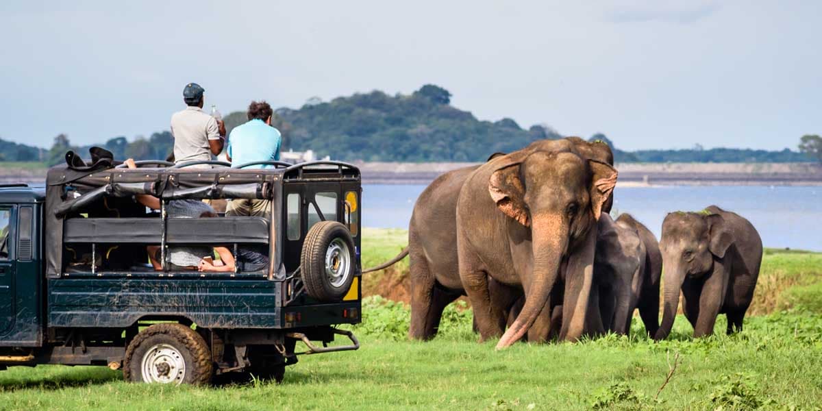 15 Places To Visit in Colombo With Family For Delightful Vacay!