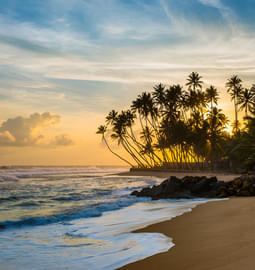 10 Things to Do in North Sri Lanka: Book & Get UPT0 30% Off