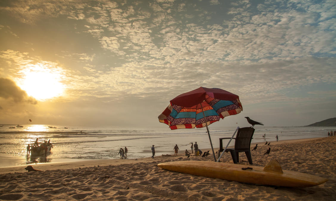 50 Beaches In India That You Must Explore In 2024!