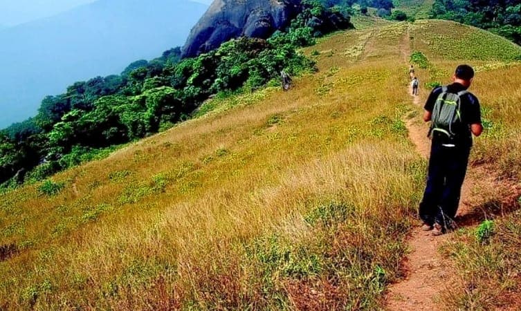 Pakshipathalam - Wayanad trekking