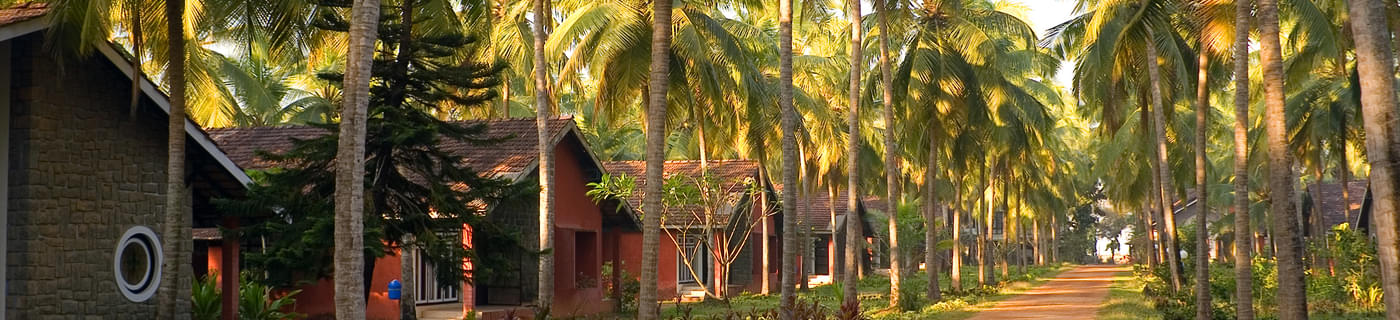 1642400304 forest resorts in kerala feature 2