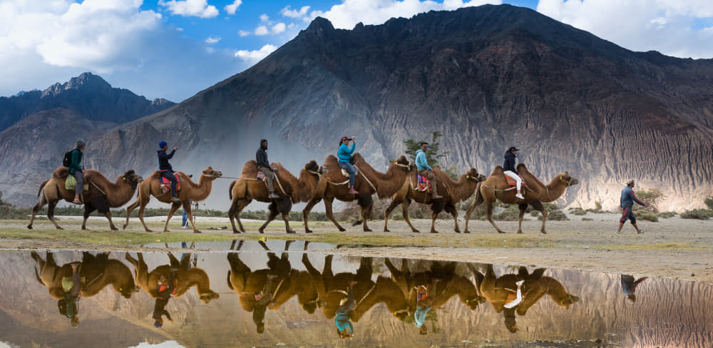 12 Things to Do in Nubra Valley For An Unforgettable Trip In {{year}}