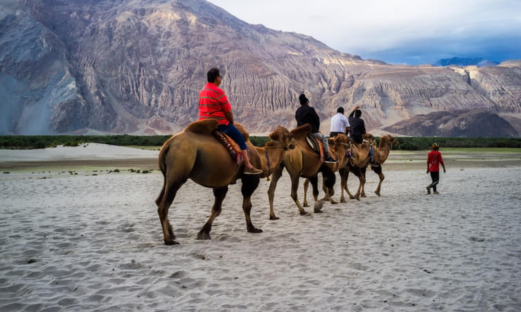 can we visit ladakh in november