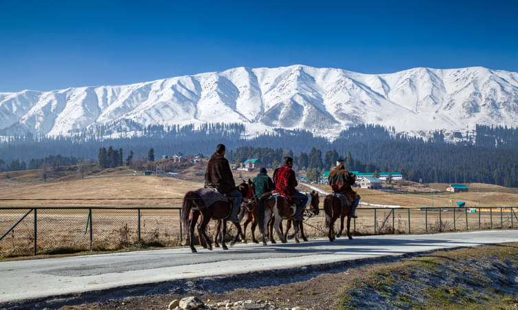 Horse Riding Adventure in Srinagar