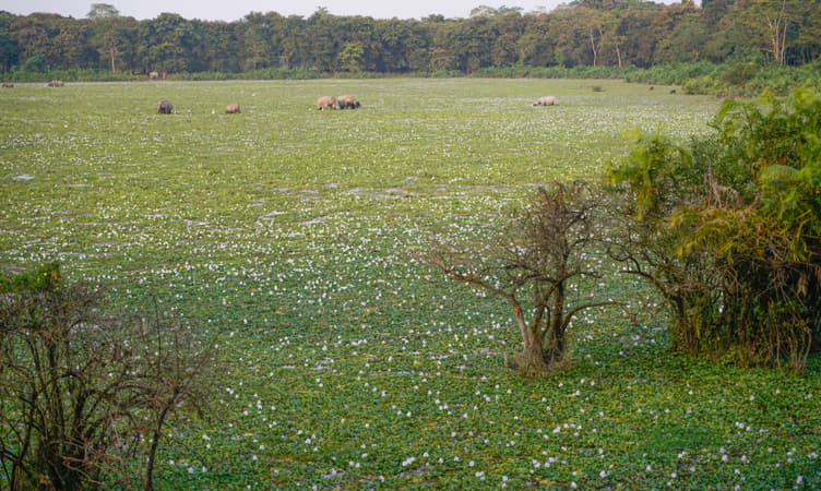 Visit Murlen National Park